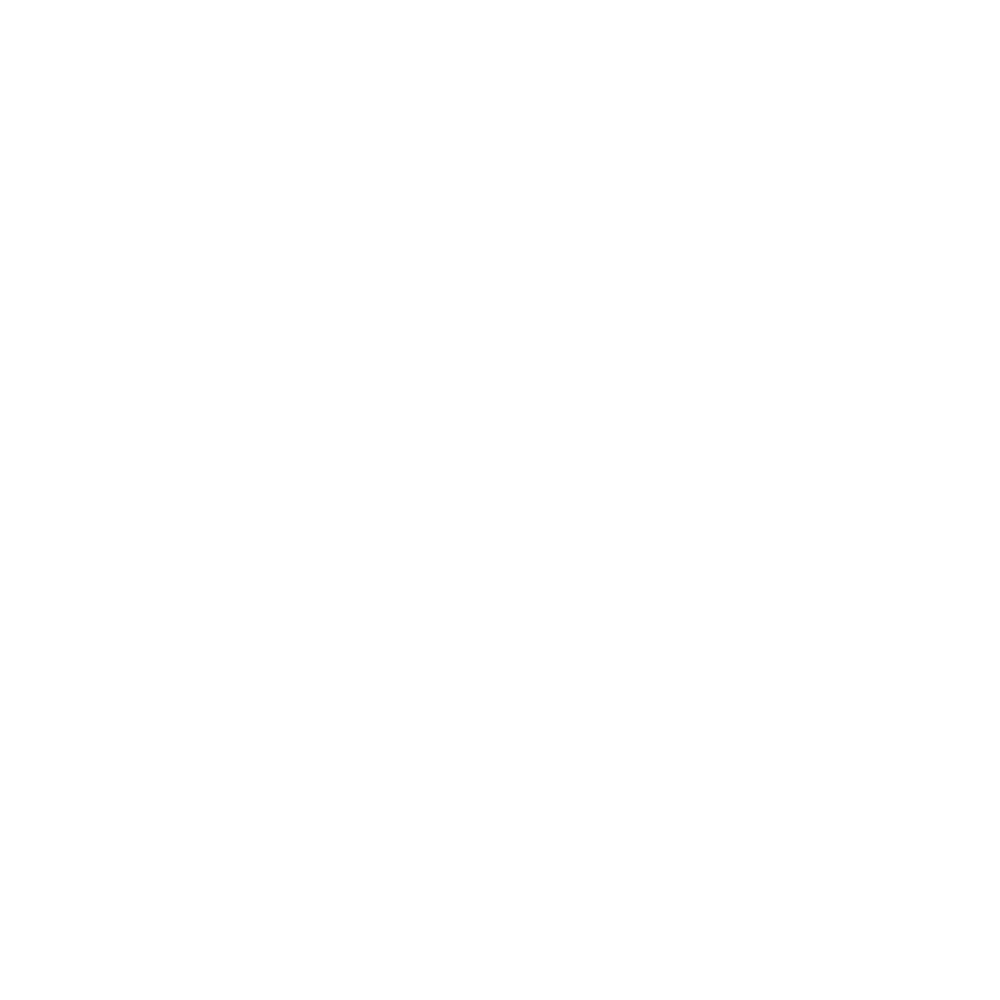 Advon Inc