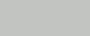 1087 Gray Silver CONE