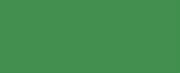 1101 Green CONE