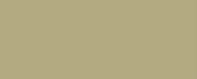 1105 Khaki Green CONE
