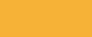 1125 Gold CONE