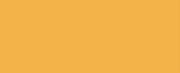 1171 Gold CONE
