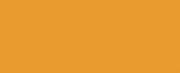 1172 Gold CONE