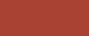 1221 Burnt Orange CONE