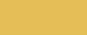 1224 Yellow CONE