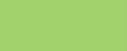 1248 Lt. Green CONE