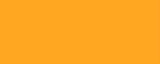 1024 Athletic Gold CONE