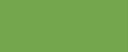 1049 Lime CONE