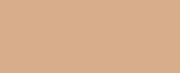 1055 Wheat CONE