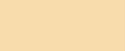1061 Lt Yellow CONE