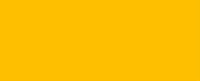 1068 Yellow CONE