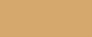 1070 Gold CONE