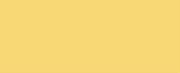 1135 Yellow CONE