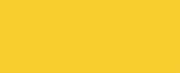 1223 Yellow CONE